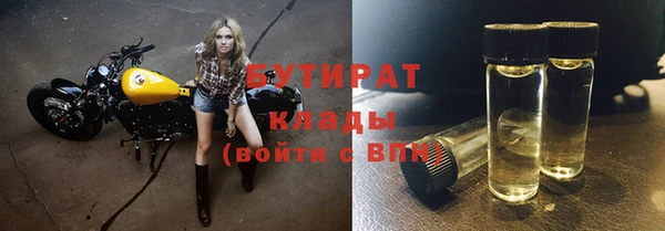 2c-b Инсар