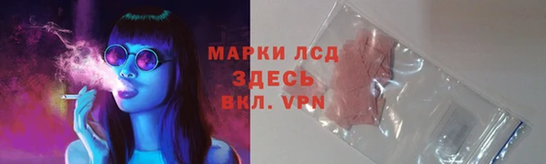 шишки Иннополис