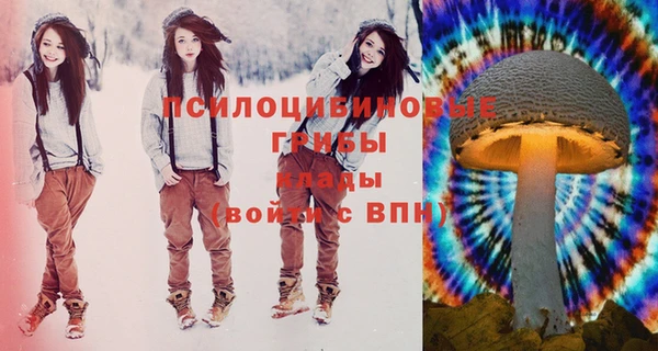 винт Абинск
