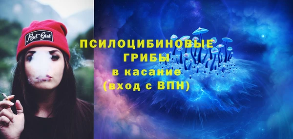 винт Абинск