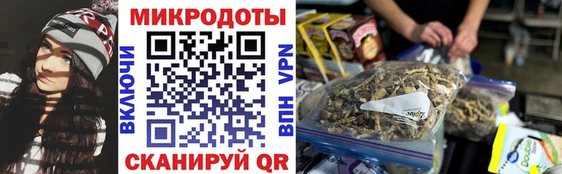 Галлюциногенные грибы прущие грибы shop Telegram Ачхой-Мартан