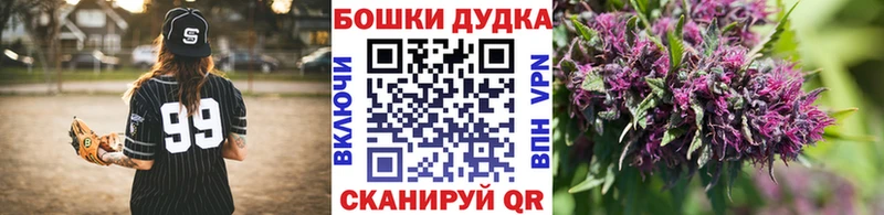 где можно купить наркотик  Ачхой-Мартан  Шишки марихуана конопля 